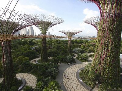 Vincity Grand Park - Thành phố của những công viên phong cách Singapore