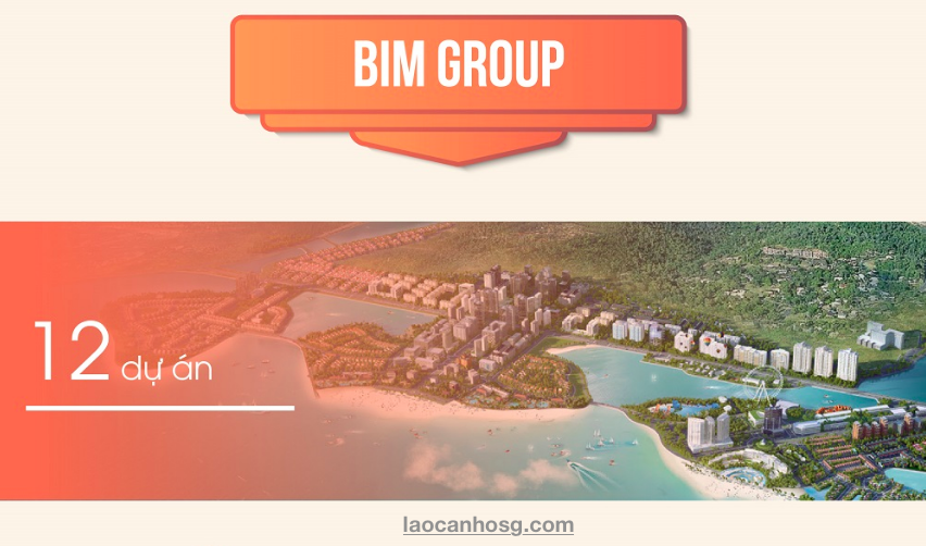 Thế lực Bim Group