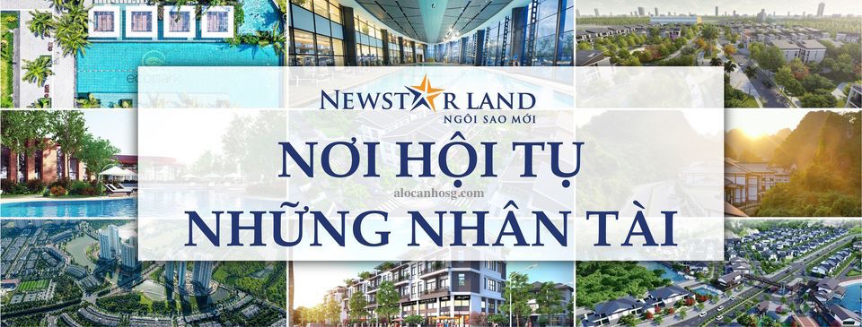 NewstarLand tuyển dụng nhân viên kinh doanh bất động sản